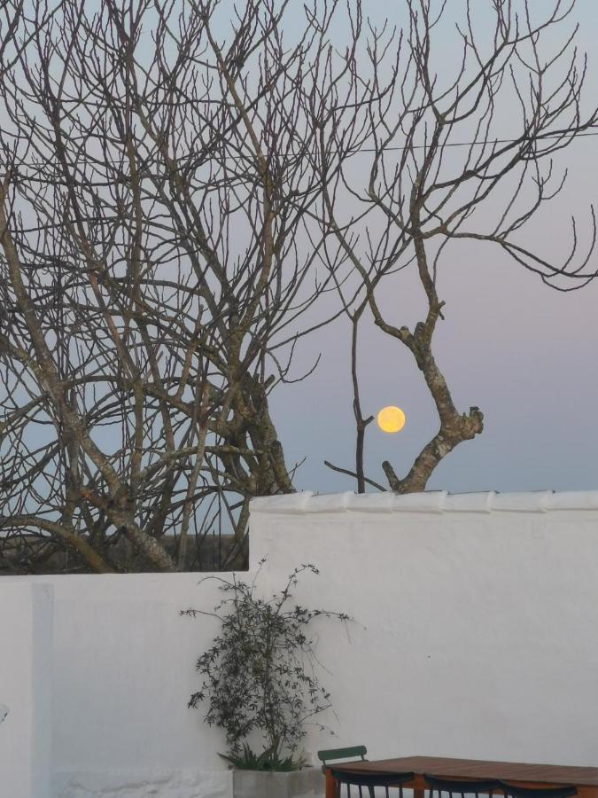 Casa No Montinho Farm stay